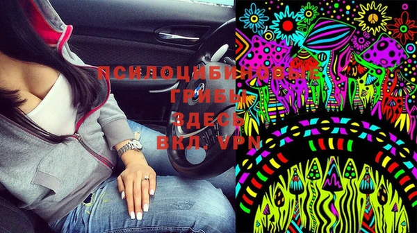 дурь Верея