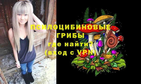 дурь Верея
